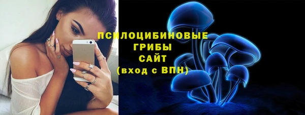 дурь Михайловск
